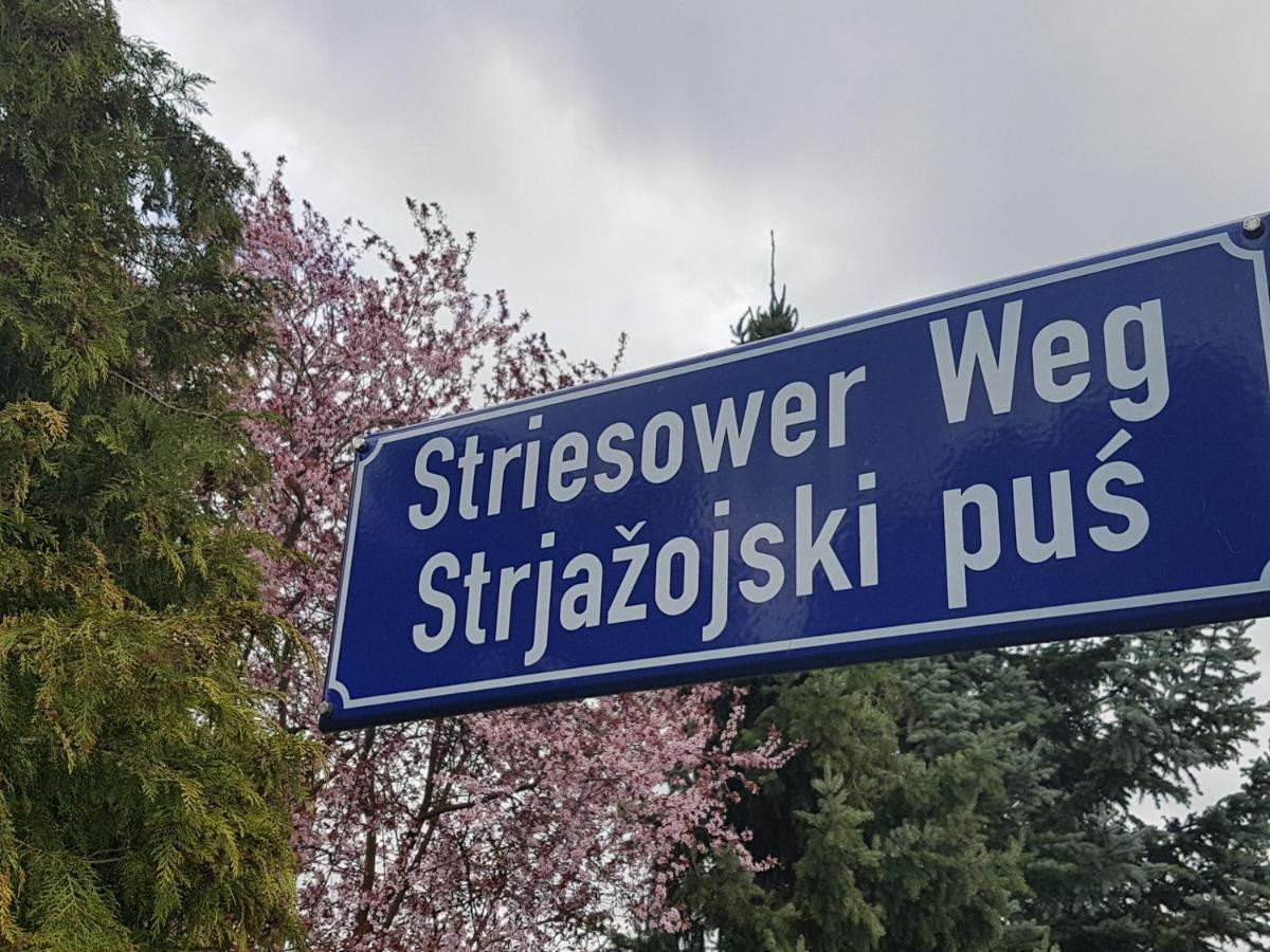 70M² Zweiraumwohnung Am Spreewaldradweg In Cottbus Exteriör bild